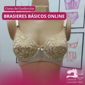 Curso de Brasieres Básicos Online